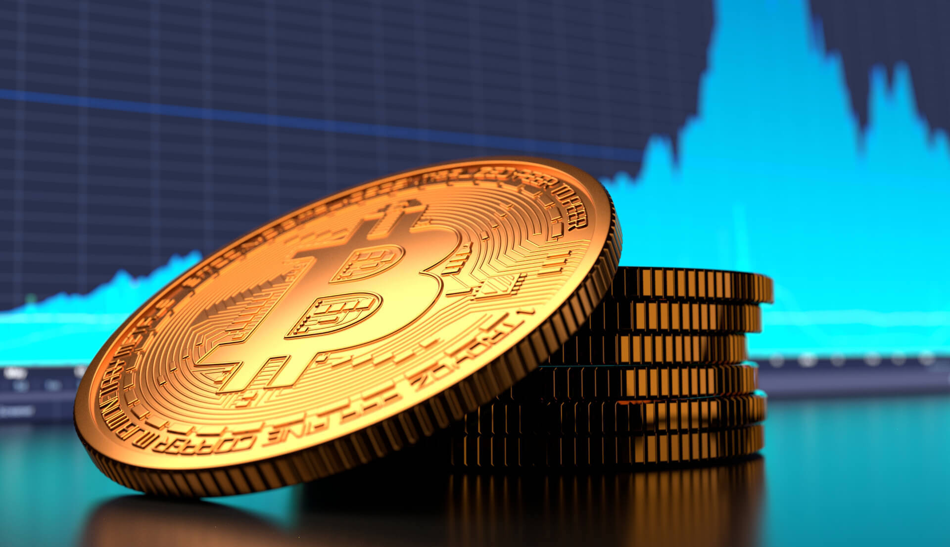 One Crypto Survivor: How To Navigate The Trade War's Impact One Crypto Survivor: How To Navigate The Trade War's Impact