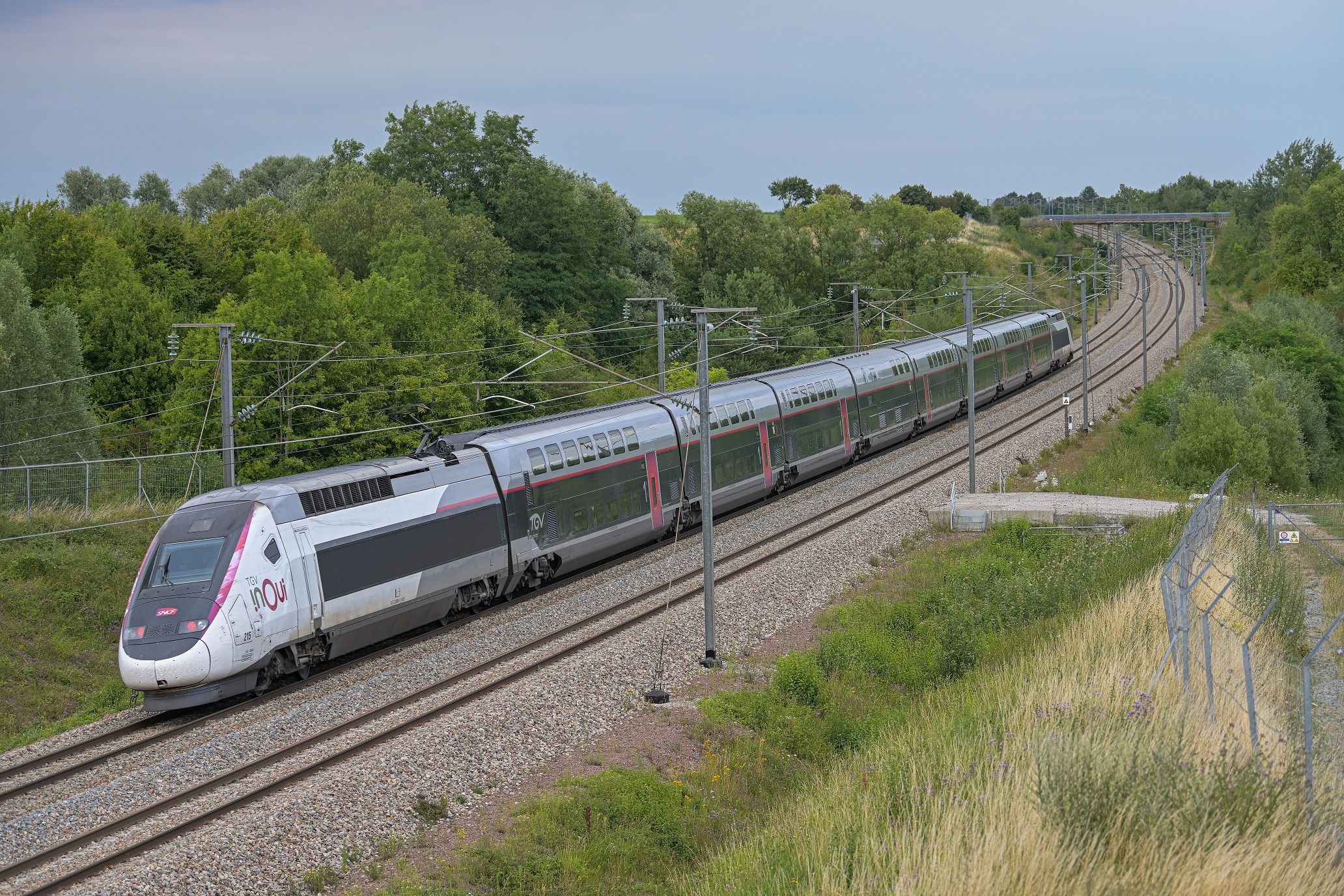 OQTF Et Fraude SNCF: Un Ivoirien Exhibe Son Sexe À Une Contrôleuse En Nord OQTF Et Fraude SNCF: Un Ivoirien Exhibe Son Sexe À Une Contrôleuse En Nord