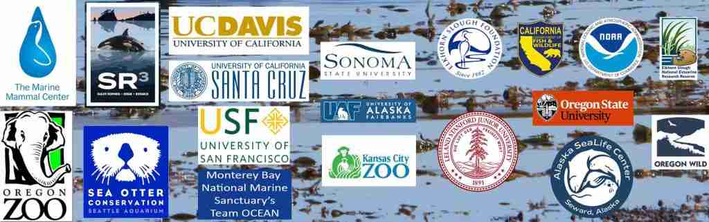 Otter Conservation In Wyoming: Navigating A Period Of Transformation Otter Conservation In Wyoming: Navigating A Period Of Transformation