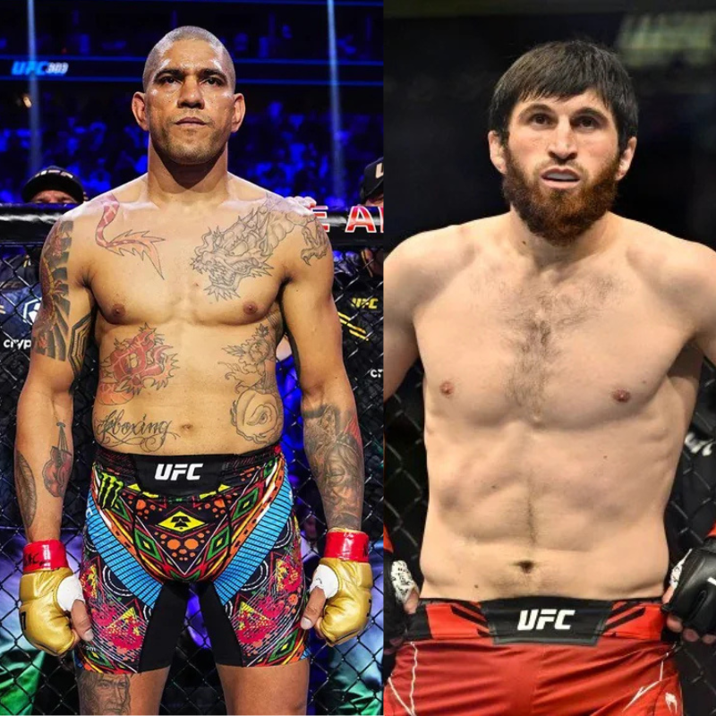 Pereira Vs Ankalaev UFC 313: Your Guide To The Livestream Pereira Vs Ankalaev UFC 313: Your Guide To The Livestream