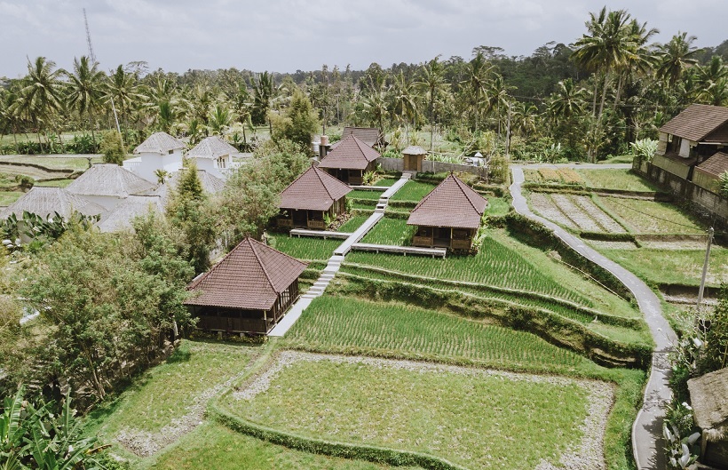 Pernikahan Kontrak Dan Properti Di Bali: Investigasi Terbaru Pernikahan Kontrak Dan Properti Di Bali: Investigasi Terbaru