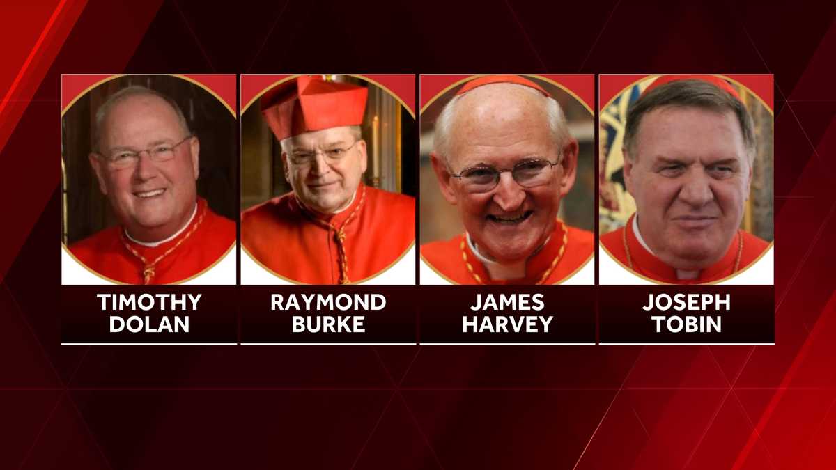 Possible Successors To Pope Francis: Leading Cardinals And Their Platforms Possible Successors To Pope Francis: Leading Cardinals And Their Platforms