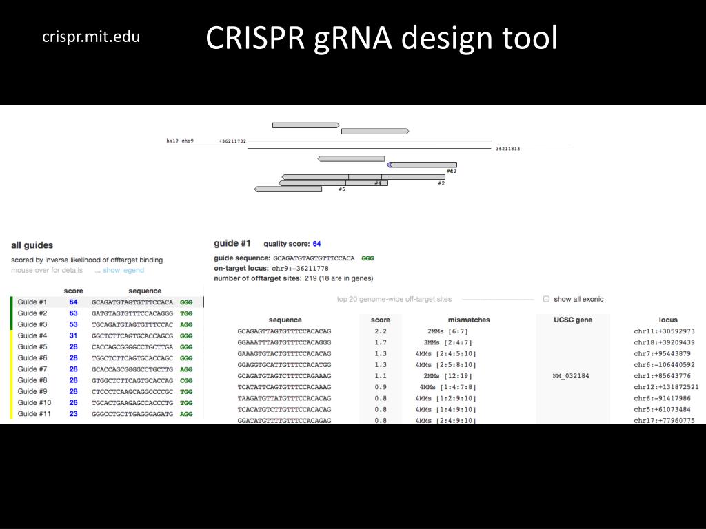 Precise Gene Editing: The Latest Advancements In CRISPR Modification Precise Gene Editing: The Latest Advancements In CRISPR Modification