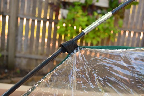 Preparing Your Home And Garden For Drier Weather Ahead Preparing Your Home And Garden For Drier Weather Ahead