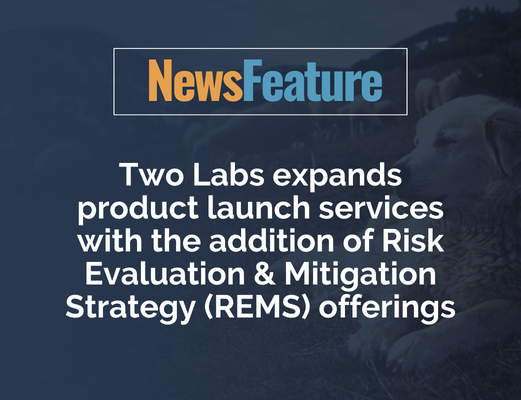 PSG's Global Innovation Strategy: The Doha Labs Launch PSG's Global Innovation Strategy: The Doha Labs Launch