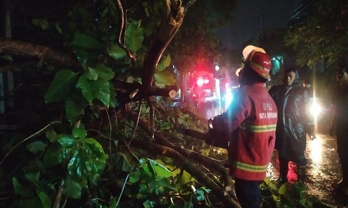Ramalan Cuaca: Hujan Di Denpasar Dan Sekitarnya, Bali Ramalan Cuaca: Hujan Di Denpasar Dan Sekitarnya, Bali