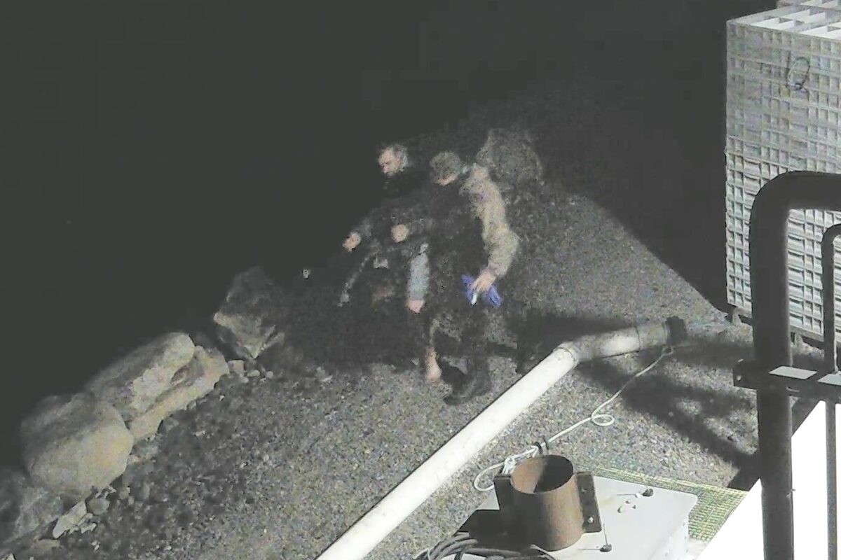 RCMP Investigate Illegal Caribou Hunting Near Manitoba-Nunavut Border RCMP Investigate Illegal Caribou Hunting Near Manitoba-Nunavut Border