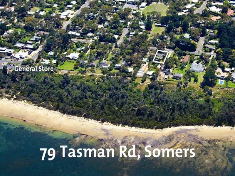 Realistic Concerns:  A Truckie Advocates For Keeping A Vital Tasman Road Open