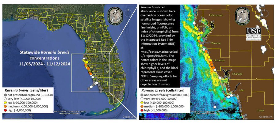 Red Tide Alert: Cape Cod Under Emergency Warning Red Tide Alert: Cape Cod Under Emergency Warning