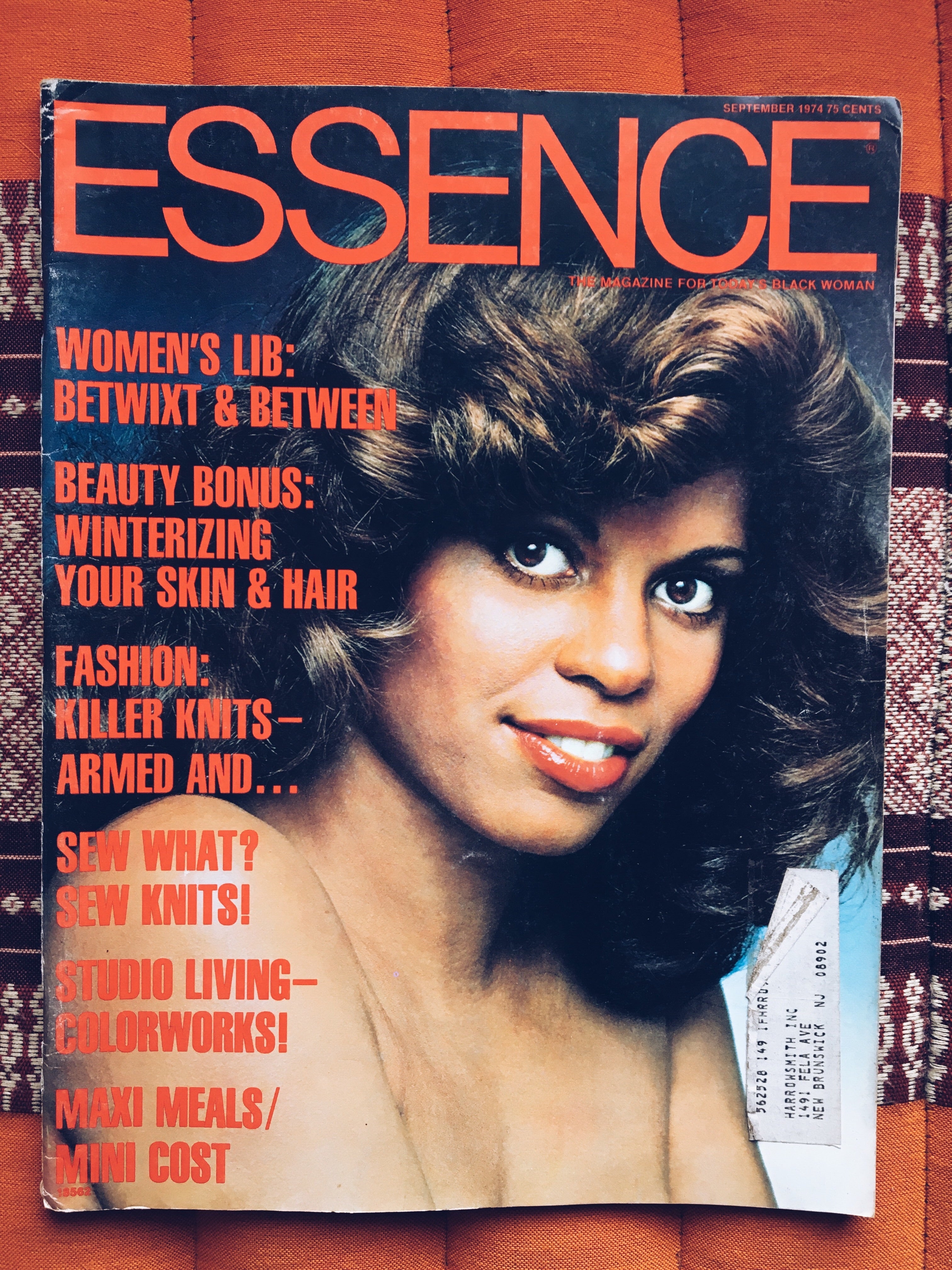 Retro Chic: Recreating Janet Jackson's Essence Magazine Look