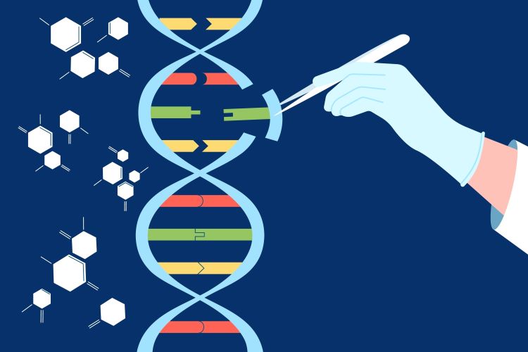 Revolutionizing Gene Therapy: The Promise Of Improved CRISPR Modification Revolutionizing Gene Therapy: The Promise Of Improved CRISPR Modification