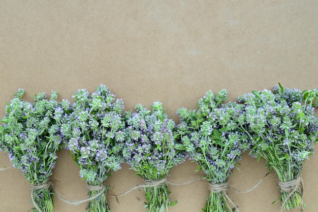 Rosemary & Thyme: Growing, Harvesting, And Using These Aromatic Herbs
