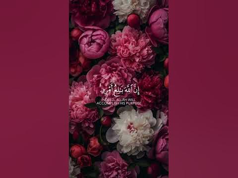 صبري أبوشعالة: الجزائر تُكرم مخرجاً ليبياً بارزاً صبري أبوشعالة: الجزائر تُكرم مخرجاً ليبياً بارزاً