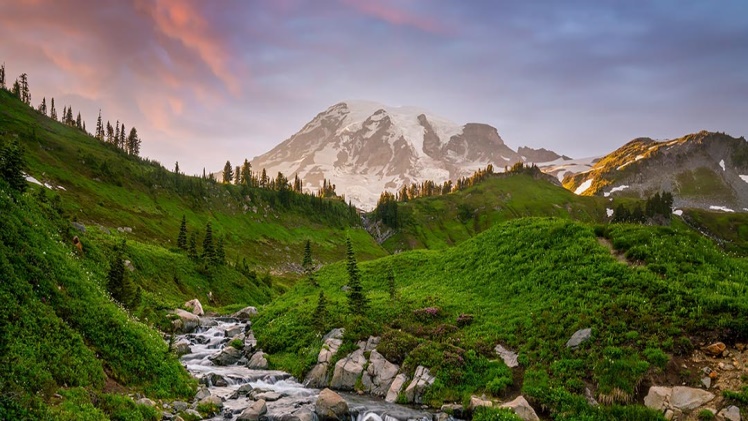 Seattle's Green Spaces: A Haven During The Early Pandemic Seattle's Green Spaces: A Haven During The Early Pandemic