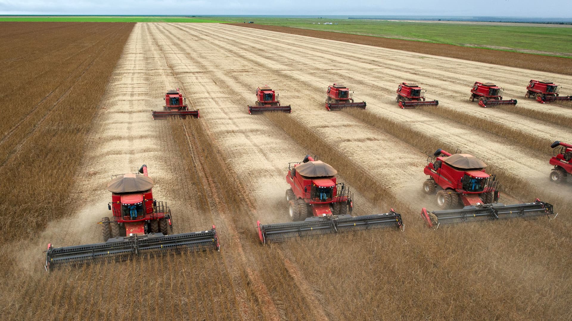 Sinograin Auctions Imported Soybeans To Combat China's Supply Crisis Sinograin Auctions Imported Soybeans To Combat China's Supply Crisis
