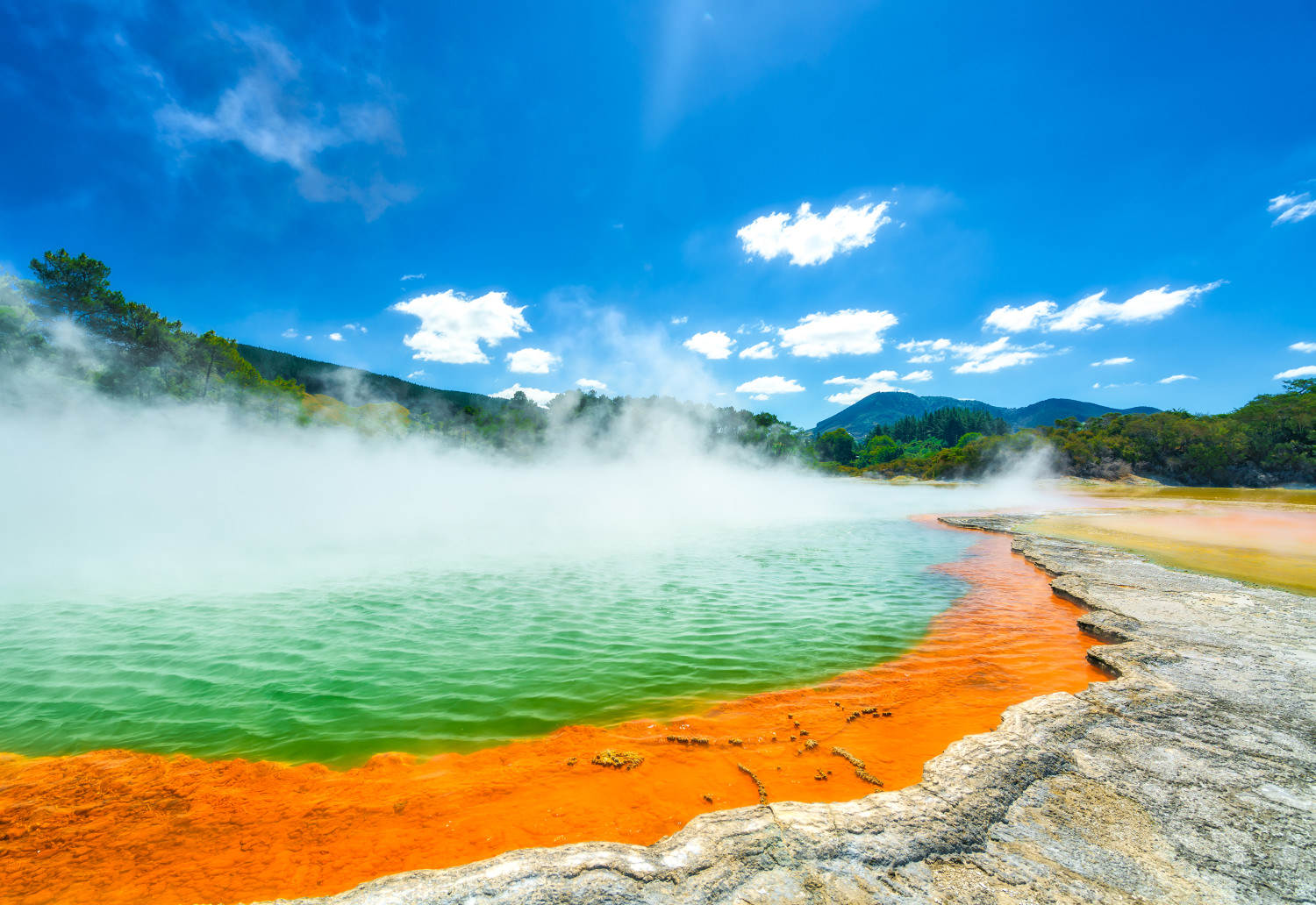 Spotlight On Rotorua: Exploring New Zealand's Cultural Heartbeat Spotlight On Rotorua: Exploring New Zealand's Cultural Heartbeat