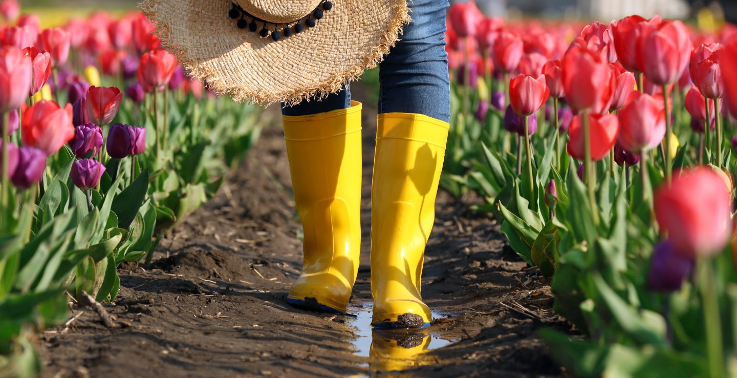 Spring Getaway: 30% Off Luxurious Hotel Bookings Spring Getaway: 30% Off Luxurious Hotel Bookings
