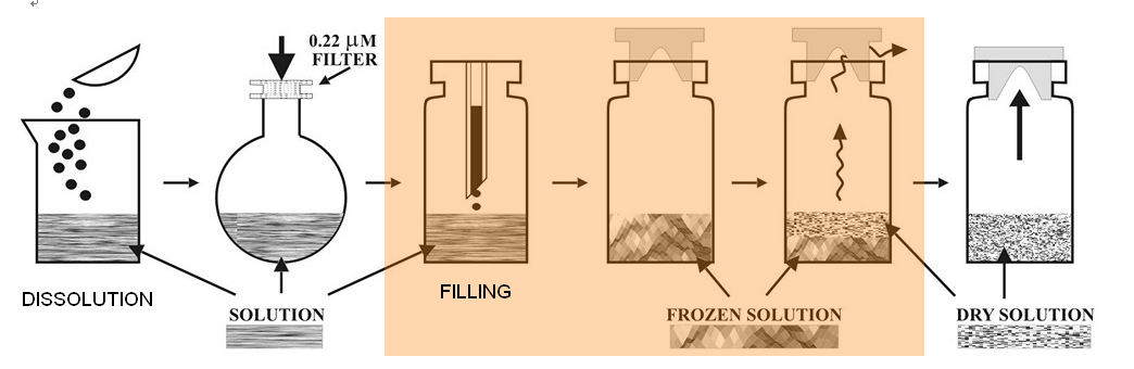 Strategies For Effective Automated Visual Inspection Of Lyophilized Vials Strategies For Effective Automated Visual Inspection Of Lyophilized Vials