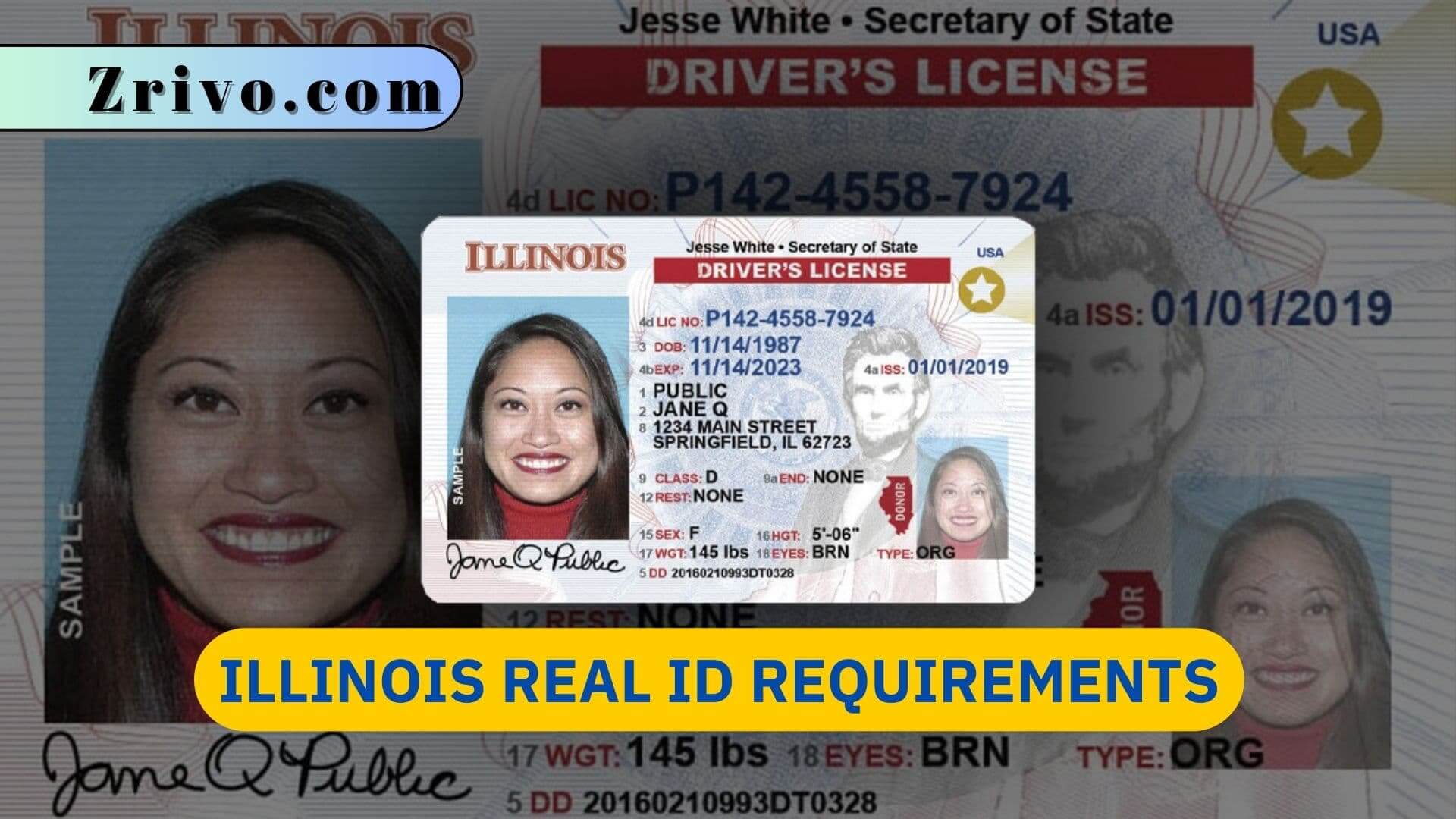 Summer Travel 2024: Navigating REAL ID Requirements Summer Travel 2024: Navigating REAL ID Requirements