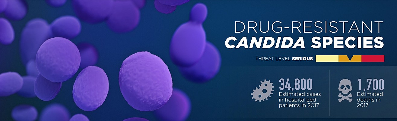 Superbug Alert: The Danger Of Drug-Resistant Fungi Superbug Alert: The Danger Of Drug-Resistant Fungi