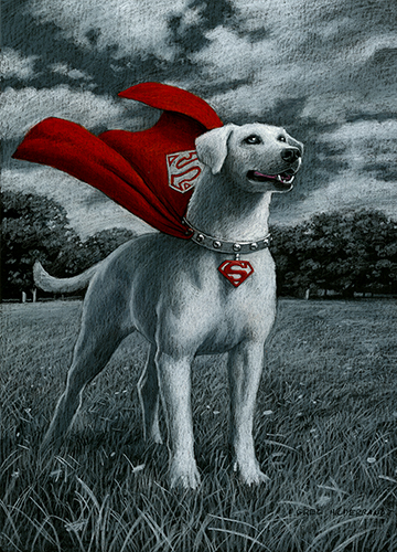 Superman Footage Analysis: More Than Just Krypto Superman Footage Analysis: More Than Just Krypto