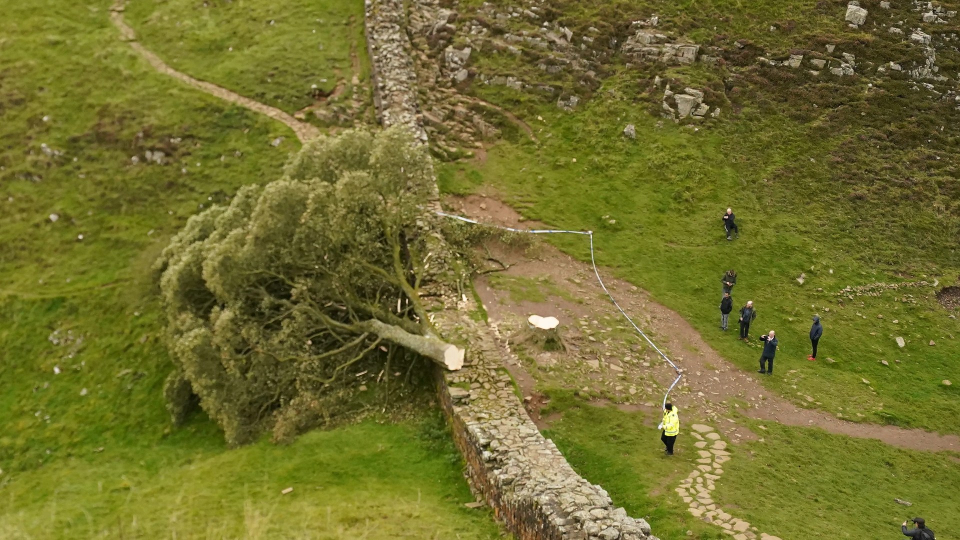 Sycamore Gap Tree Vandalism: Two Men Found Guilty Sycamore Gap Tree Vandalism: Two Men Found Guilty