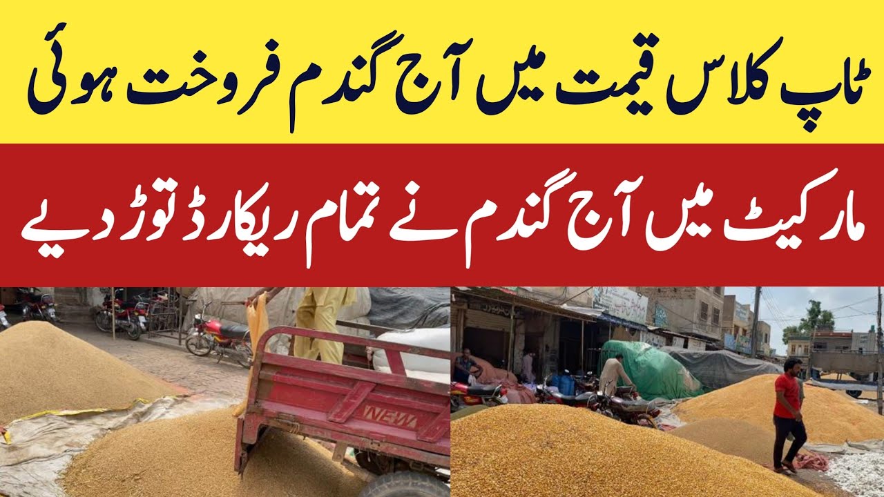 ٹام کروز کی ڈیٹنگ لائف: تازہ ترین اپ ڈیٹس ٹام کروز کی ڈیٹنگ لائف: تازہ ترین اپ ڈیٹس