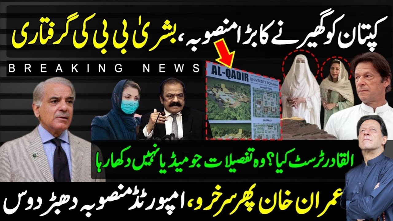 ٹام کروز پر مداح کا حملہ: واقعہ کی تفصیلات اور سوشل میڈیا کا ردعمل ٹام کروز پر مداح کا حملہ: واقعہ کی تفصیلات اور سوشل میڈیا کا ردعمل