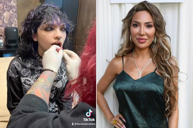 Teen Mom And Beyond: Examining The Long-Term Effects On Farrah Abraham Teen Mom And Beyond: Examining The Long-Term Effects On Farrah Abraham