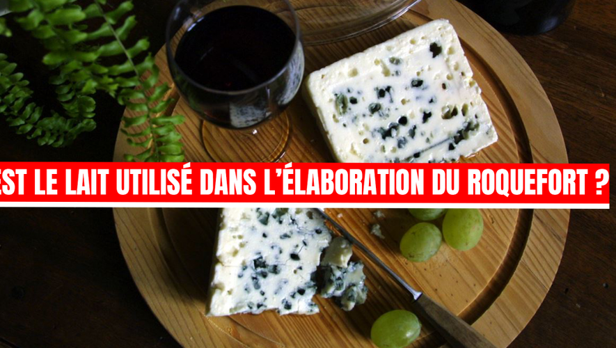 Testez Vos Connaissances : Quiz Sur La Loire-Atlantique (Histoire, Gastronomie, Culture) Testez Vos Connaissances : Quiz Sur La Loire-Atlantique (Histoire, Gastronomie, Culture)