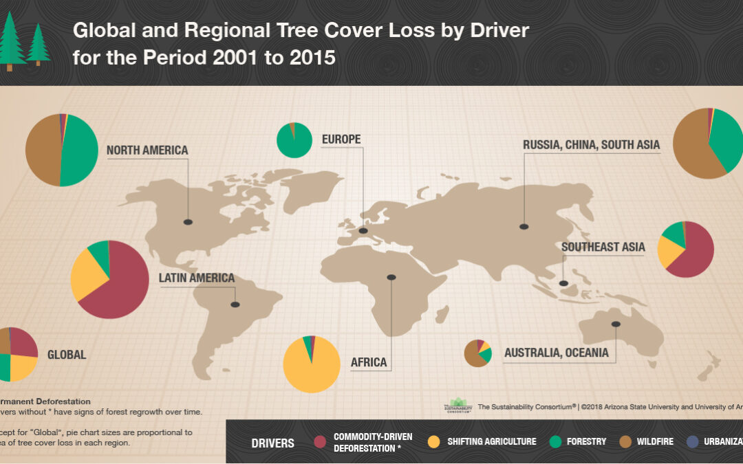 The Devastating Rise In Global Forest Loss: A Wildfire Crisis The Devastating Rise In Global Forest Loss: A Wildfire Crisis