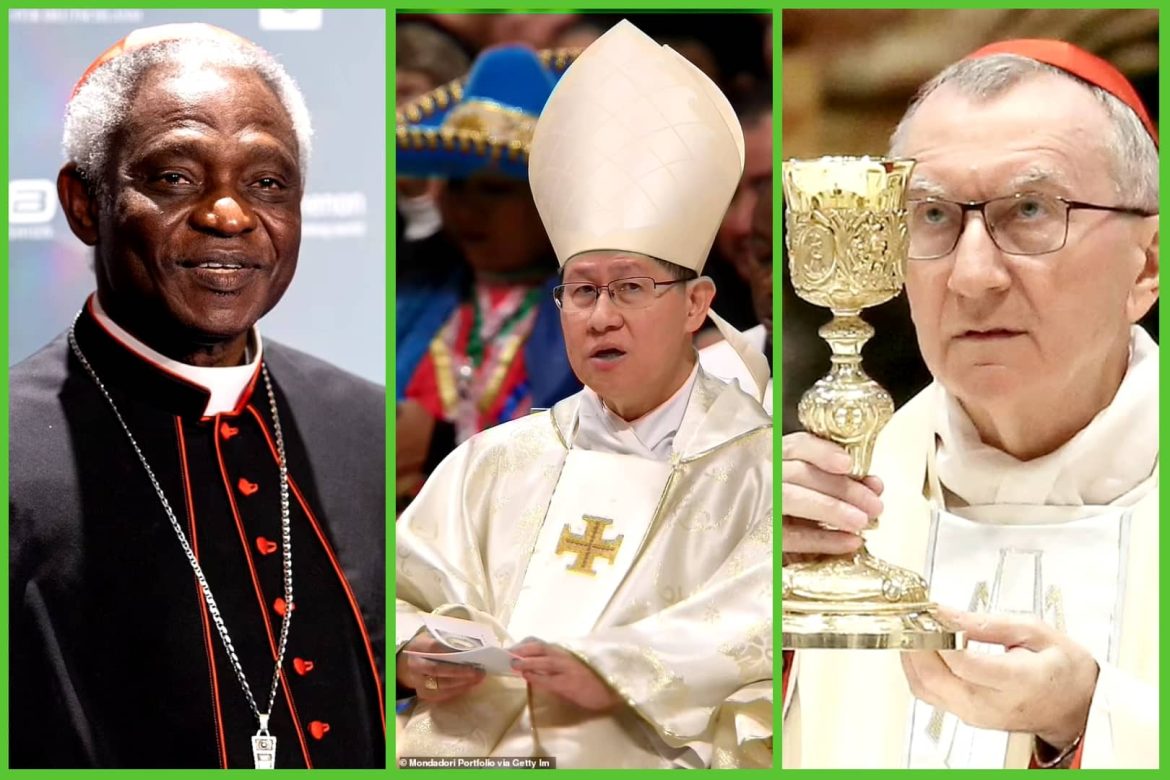 The Future Of The Papacy: Exploring Potential Successors To Pope Francis The Future Of The Papacy: Exploring Potential Successors To Pope Francis
