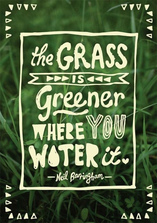 The Grass Isn't Always Greener: An Expat's Perspective On Life In Germany And The US The Grass Isn't Always Greener: An Expat's Perspective On Life In Germany And The US