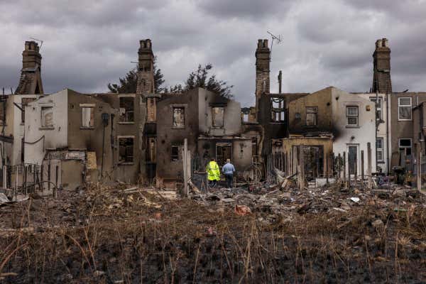 The Impact Of Wildfires On The UK's Most Endangered Animals The Impact Of Wildfires On The UK's Most Endangered Animals