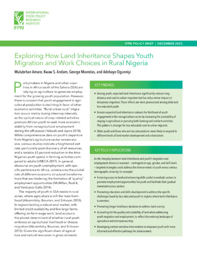 The Kite Runner's Legacy: Exploring Pragmatic Choices In Nigeria The Kite Runner's Legacy: Exploring Pragmatic Choices In Nigeria