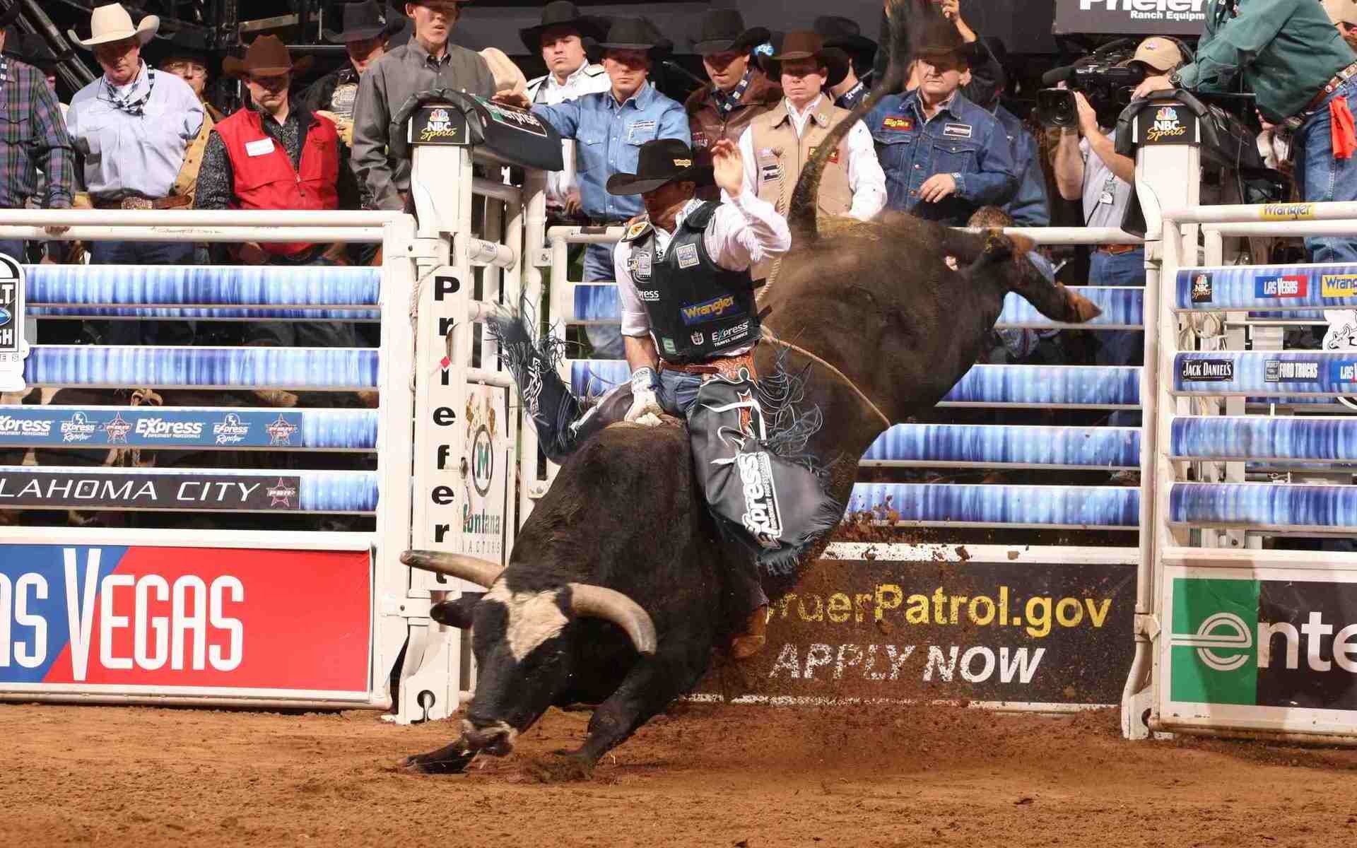 The Last Rodeo: Neal McDonough Tackles Pro Bull Riding The Last Rodeo: Neal McDonough Tackles Pro Bull Riding