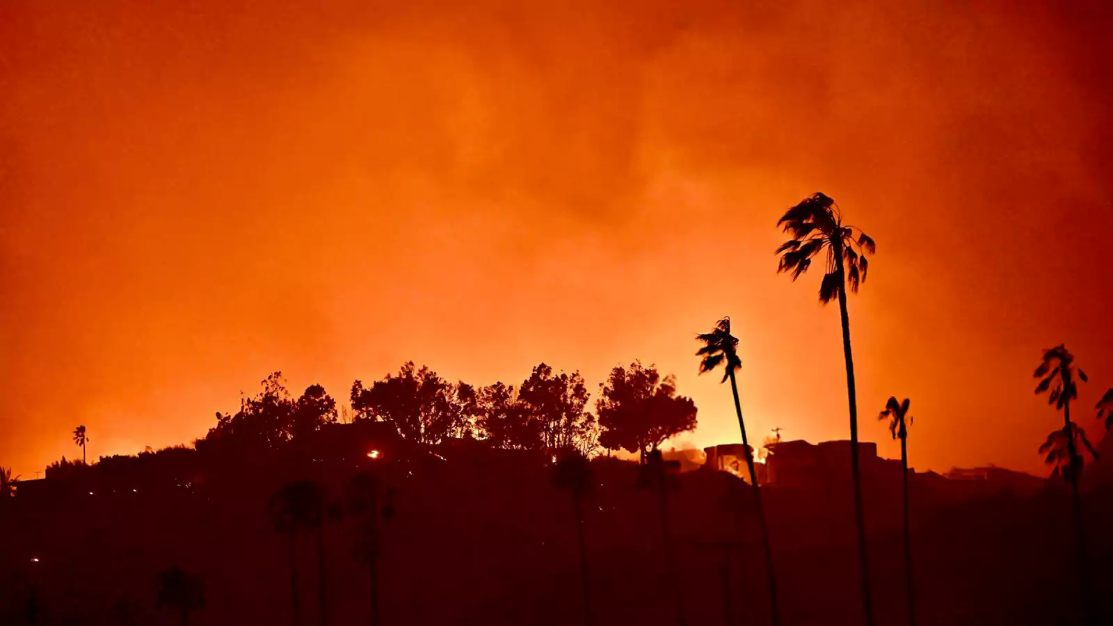 The Los Angeles Wildfires: A Gambling Opportunity Or A Societal Problem?