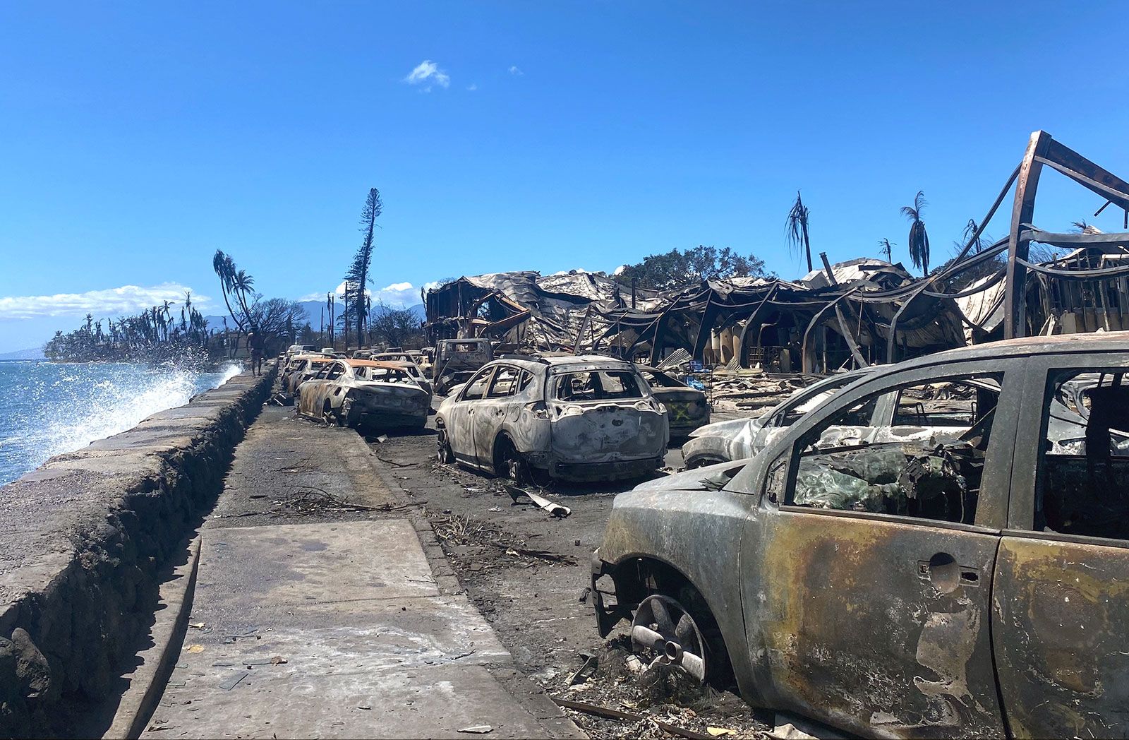 The Troubling Trend Of Betting On Natural Disasters: The Case Of The LA Wildfires The Troubling Trend Of Betting On Natural Disasters: The Case Of The LA Wildfires