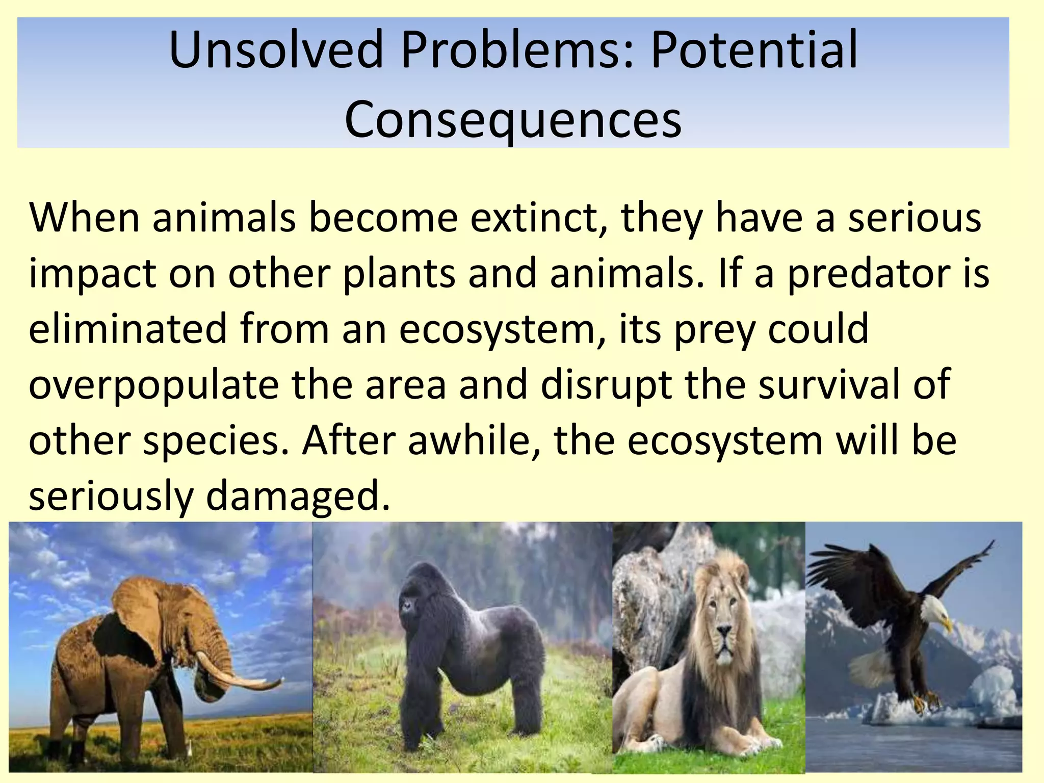 The Wonder Of Animals: Threats And Solutions For Endangered Species The Wonder Of Animals: Threats And Solutions For Endangered Species