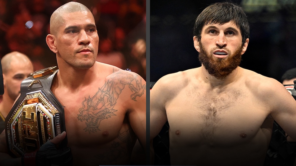 This Weekend's UFC 313: A Complete Guide To Pereira Vs Ankalaev This Weekend's UFC 313: A Complete Guide To Pereira Vs Ankalaev