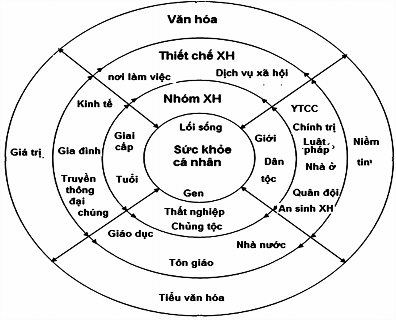 Thời Gian Xông Hơi Phù Hợp Với Từng Đối Tượng Và Mục Đích Sức Khỏe Thời Gian Xông Hơi Phù Hợp Với Từng Đối Tượng Và Mục Đích Sức Khỏe