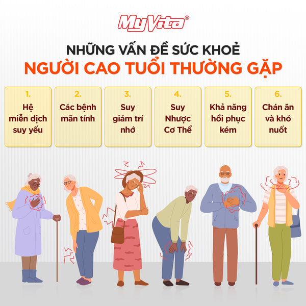 Tìm Hiểu Thời Gian Xông Hơi Phù Hợp Với Tình Trạng Sức Khỏe Của Bạn. Tìm Hiểu Thời Gian Xông Hơi Phù Hợp Với Tình Trạng Sức Khỏe Của Bạn.