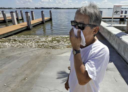 Toxic Algae Bloom: Devastating Impact On California's Marine Life Toxic Algae Bloom: Devastating Impact On California's Marine Life