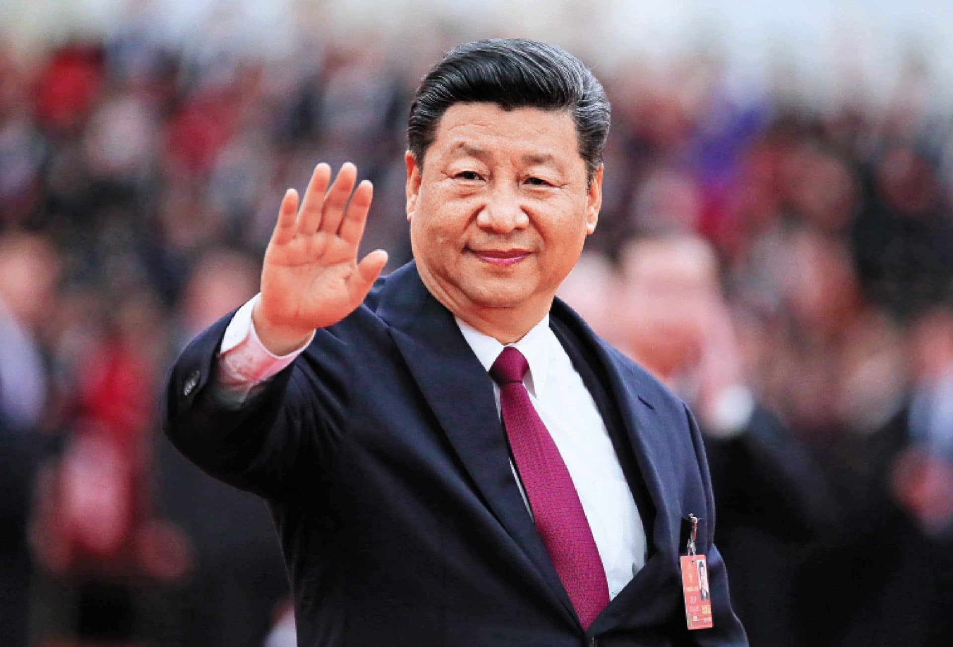 Tres Toros Rumbo A China: Regalo Del Presidente De Uruguay A Xi Jinping Tres Toros Rumbo A China: Regalo Del Presidente De Uruguay A Xi Jinping