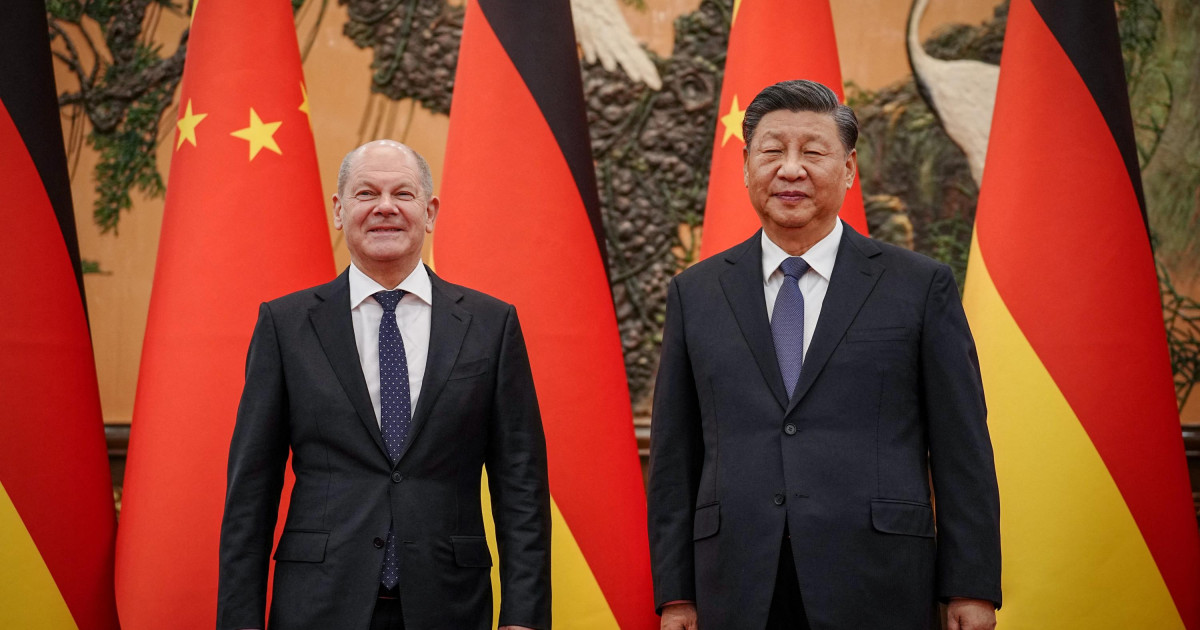 Tres Toros Uruguayos Viajan A China Como Regalo A Xi Jinping Tres Toros Uruguayos Viajan A China Como Regalo A Xi Jinping