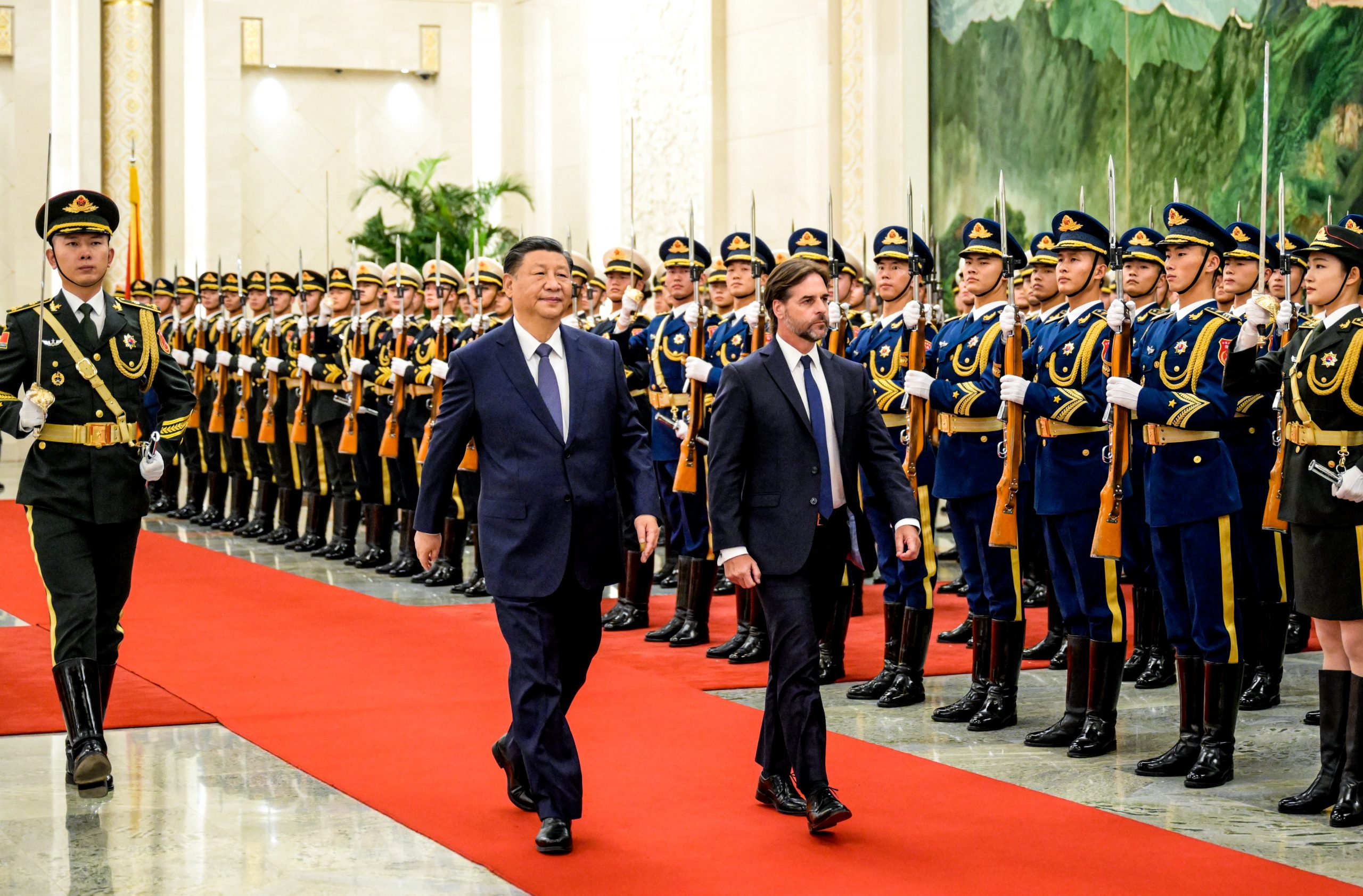 Tres Toros Uruguayos Viajan A China Como Regalo Presidencial A Xi Jinping Tres Toros Uruguayos Viajan A China Como Regalo Presidencial A Xi Jinping