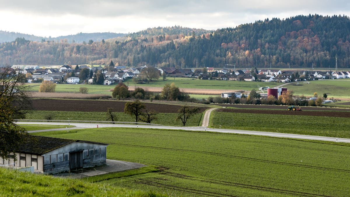 Trockenheit In Deutschland: Nur Punktuelle Regenfälle – Die Lage Bleibt Angespannt Trockenheit In Deutschland: Nur Punktuelle Regenfälle – Die Lage Bleibt Angespannt