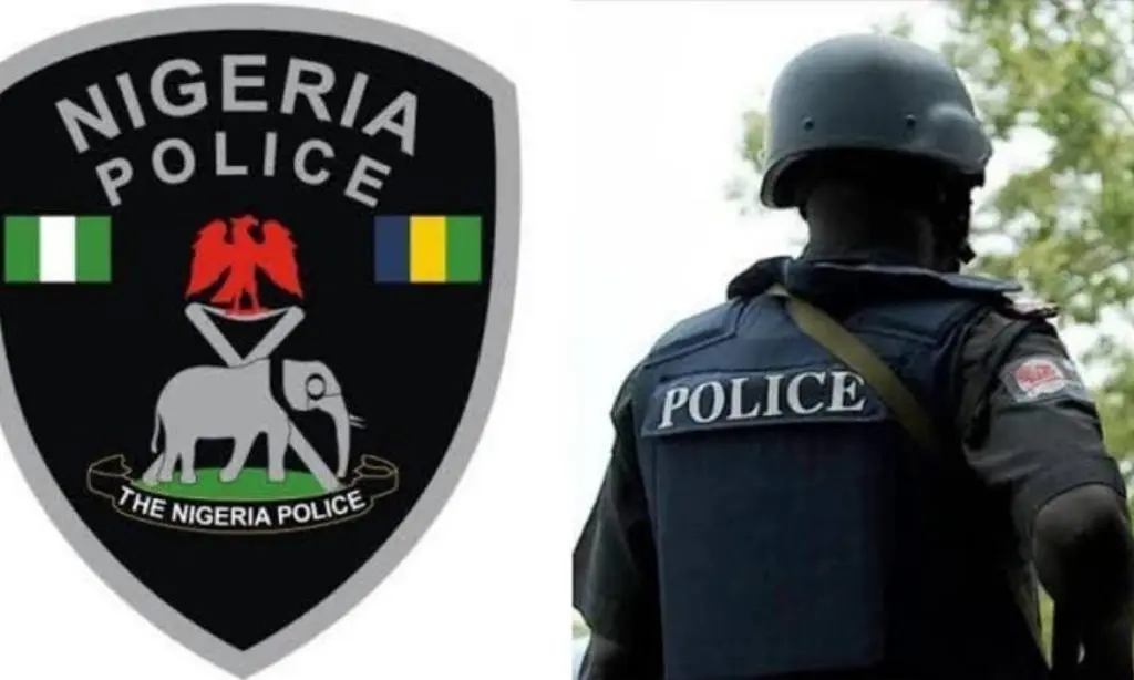 Twelve Bandits Eliminated In Katsina State By Security Forces Twelve Bandits Eliminated In Katsina State By Security Forces