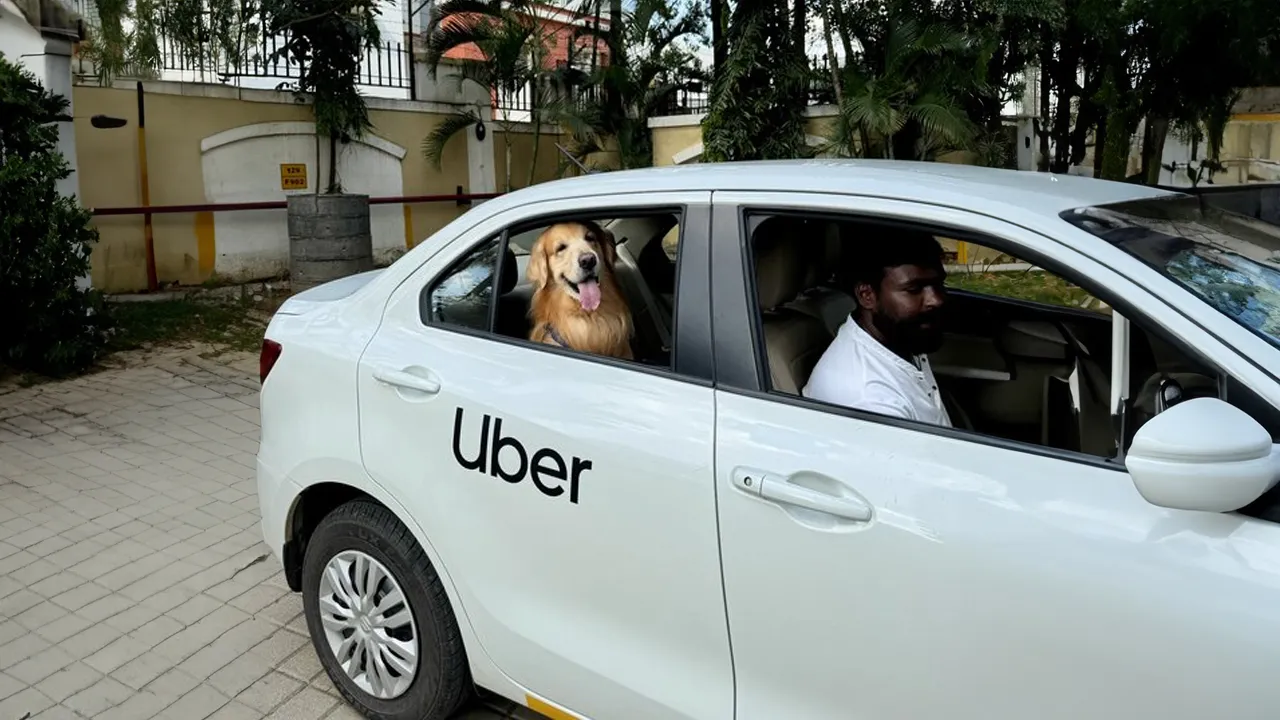 Uber Pet: New Service Launch In Delhi And Mumbai Uber Pet: New Service Launch In Delhi And Mumbai