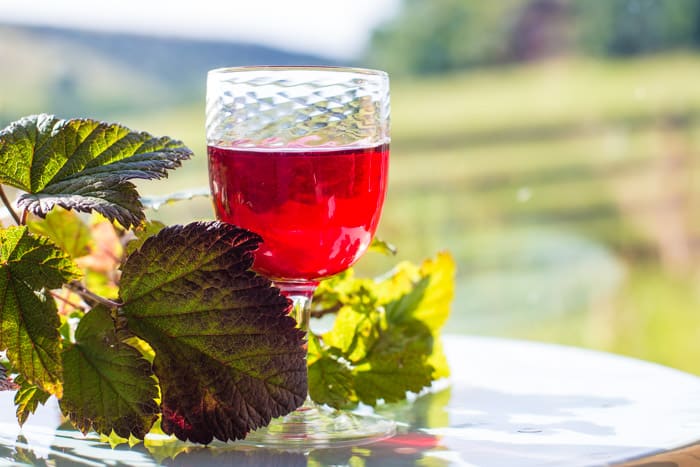 Understanding Cassis Blackcurrant Production Understanding Cassis Blackcurrant Production